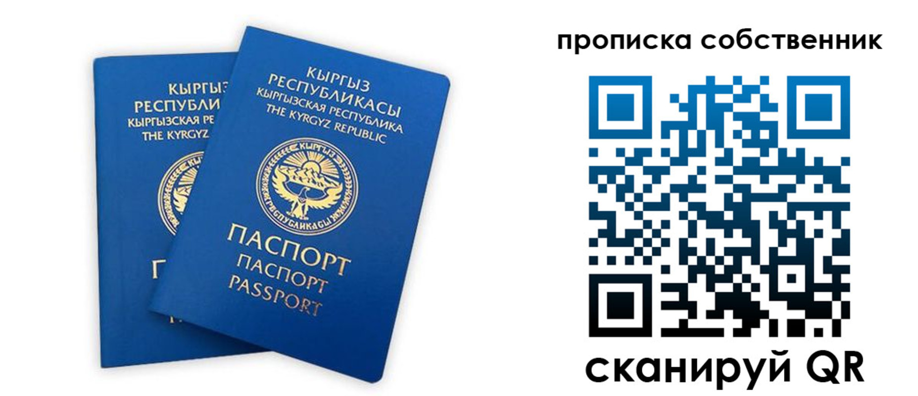 временная регистрация гарантия в Торжоке
